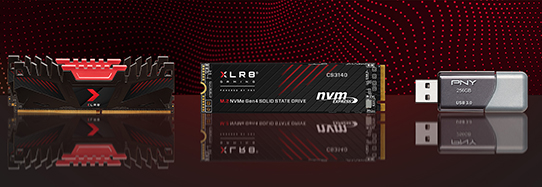 Memory Storage Promotion